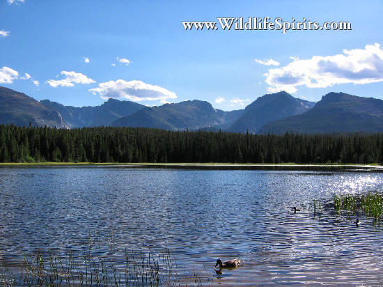 Click Picture to send as an  E-PostCard 65k 550x412